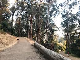 Stonewall-Panoramic Trail